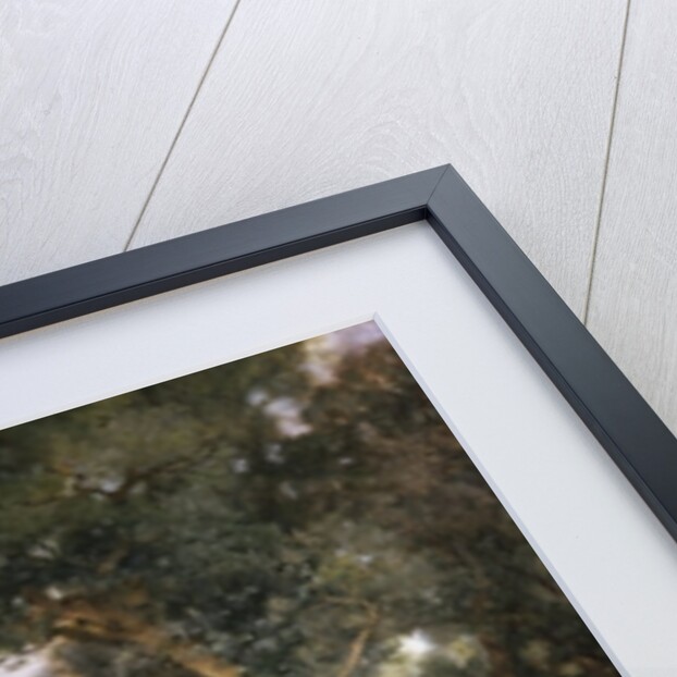 Forest Glade, Santa Barbara, 1918 by Thomas Moran