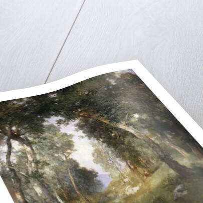 Forest Glade, Santa Barbara, 1918 by Thomas Moran