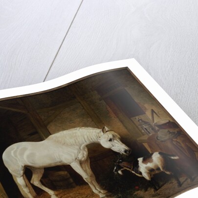 Stable Companions by John Frederick Herring Snr