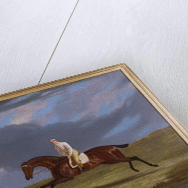 Corduroy, a Bay Racehorse, with a Jockey Up, Galloping on a Racecourse by John Frederick Herring Snr