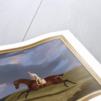 Corduroy, a Bay Racehorse, with a Jockey Up, Galloping on a Racecourse by John Frederick Herring Snr