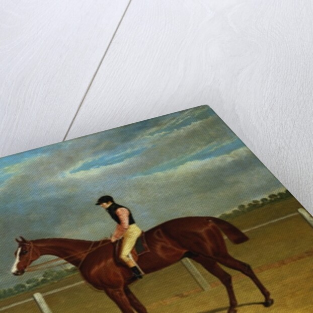 The Racehorse 'The Colonel' with William Scott Up by John Frederick Herring Snr