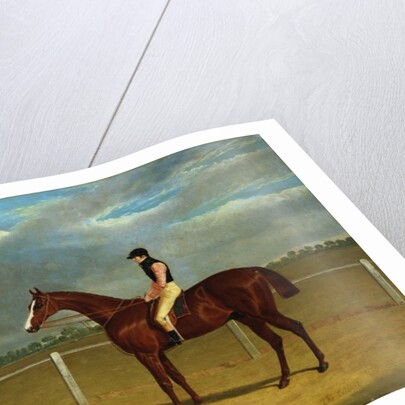 The Racehorse 'The Colonel' with William Scott Up by John Frederick Herring Snr