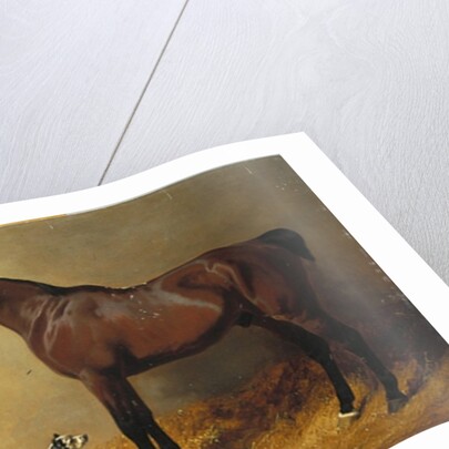 A Bay Hunter and a Spotted Dog in a Stable Interior, 1846 by John Frederick Herring Snr