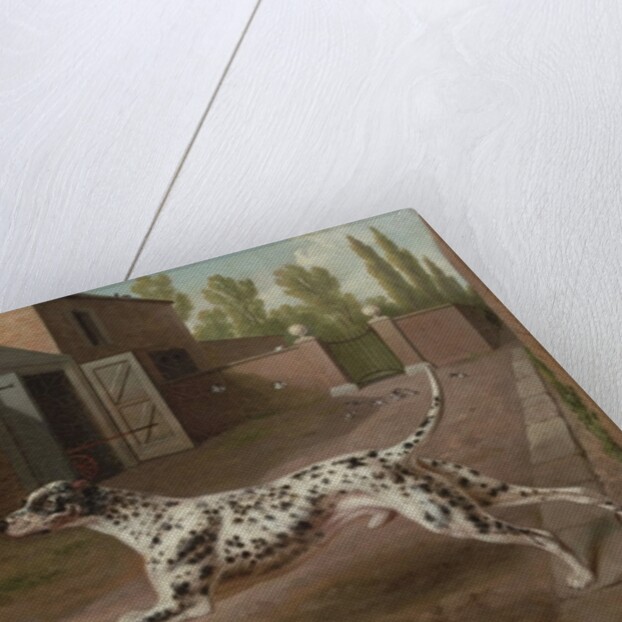 A Dalmation Running in a Stable Yard by Philip Reinagle