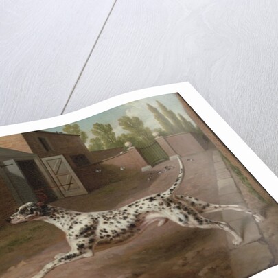 A Dalmation Running in a Stable Yard by Philip Reinagle