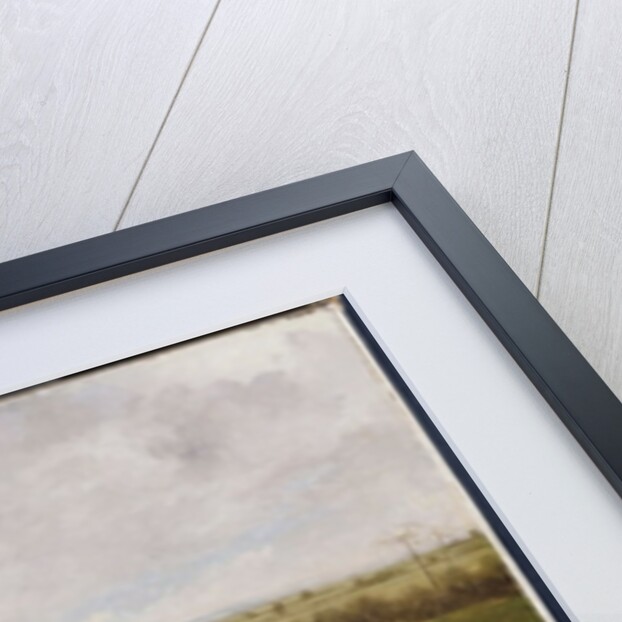 The Grand Leicestershire Steeplechase, March 12th, 1829: The Field Becomes Select by Henry Thomas Alken