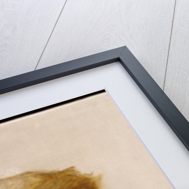 The Head of a Woman by Edward Coley Burne-Jones