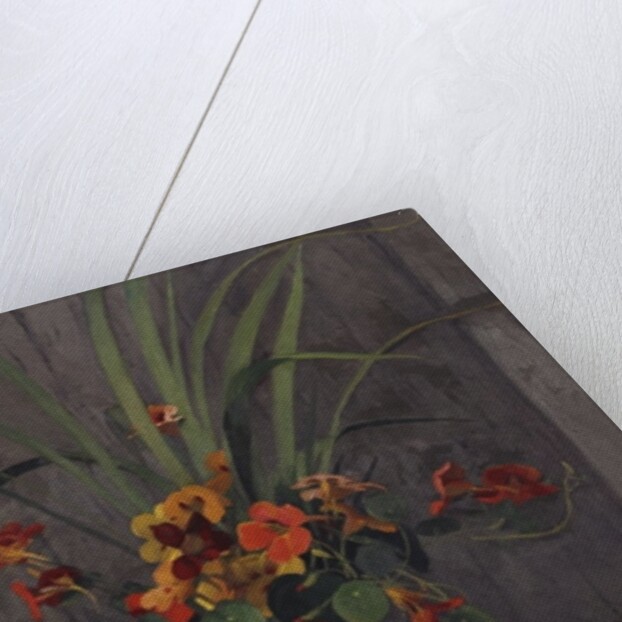 Nasturtiums, 1920 by Felix Edouard Vallotton