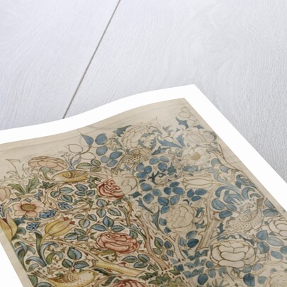 Rose, design for chintz by William Morris