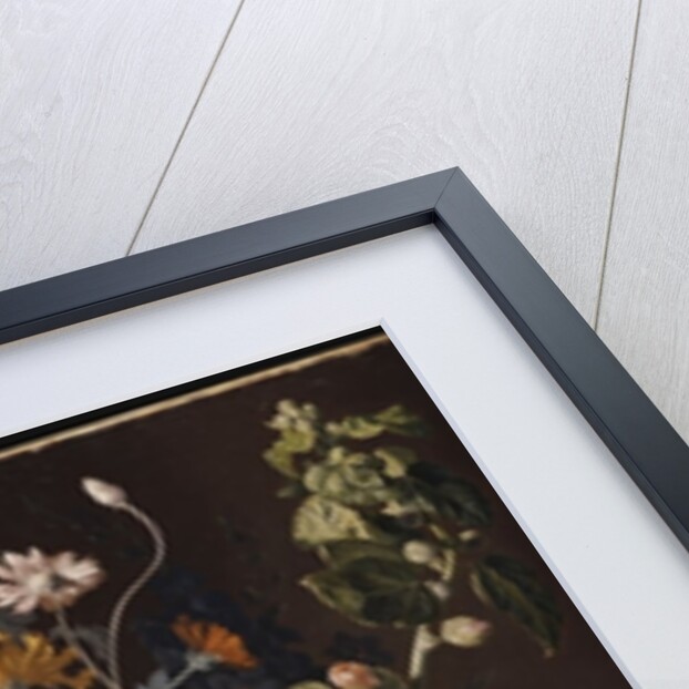 Poppies, Hollyhock, Morning Glory, Viola, Daisies, Sweet Pea, Marigolds and other Flowers in a Vase with a Snail on a Ledge by Jan van Huysum