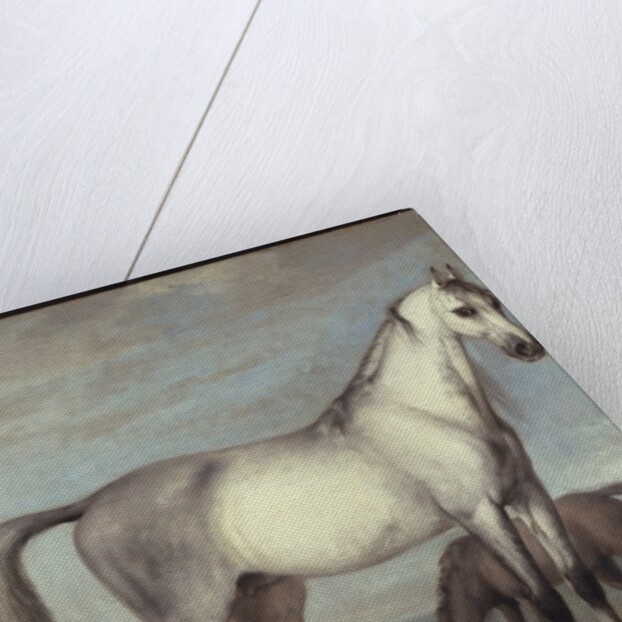 A Grey Mare and a Foal in an Extensive Hilly Landscape by Peter Tillemans