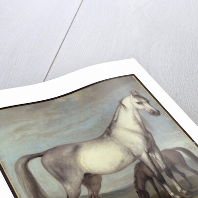 A Grey Mare and a Foal in an Extensive Hilly Landscape by Peter Tillemans