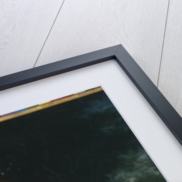 Portrait of a Lady by Francois Pascal Simon Baron Gerard