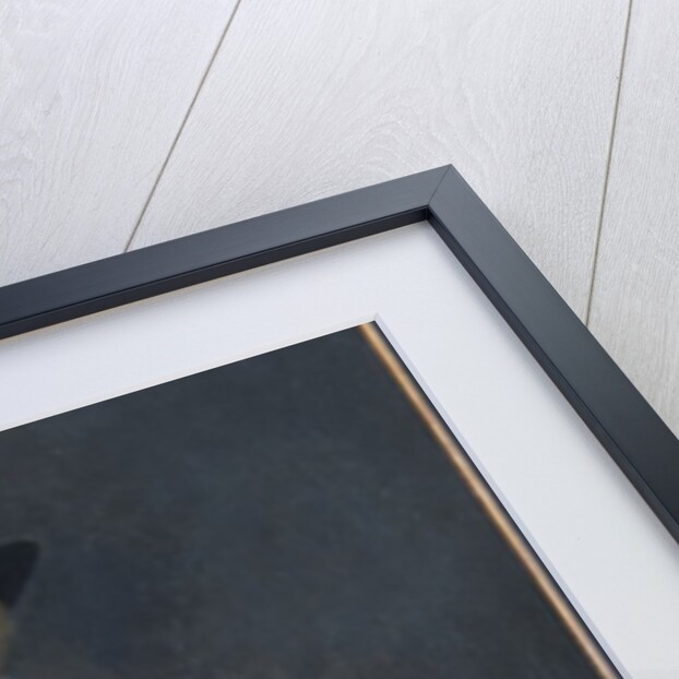 Portrait of a gentleman by Gerard ter Borch or Terborch