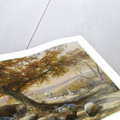 Sheep in the Shade, c.1851 by Samuel Palmer