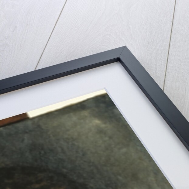 Portrait of a Woman c.1915 by Amedeo Modigliani