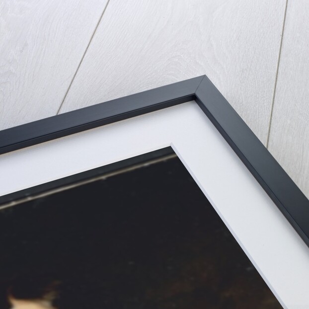 Portrait of Mrs. John Allnutt, c.1810-15 by Thomas Lawrence