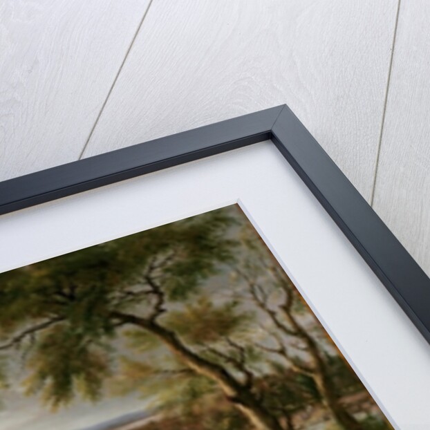 King Louis XIV of France Crossing the Rhine, 12th June 1672 by Adam Frans van der Meulen