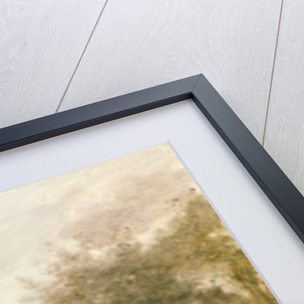 View of Arleux from the Marshes of Palluel, 1873 by Jean Baptiste Camille Corot