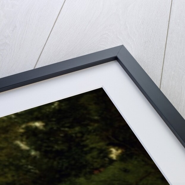 The Lady of Shalott, 1873 by Arthur Hughes