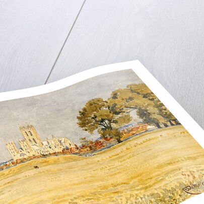 Canterbury Cathedral from the Meadows, 1894 by Walter Crane
