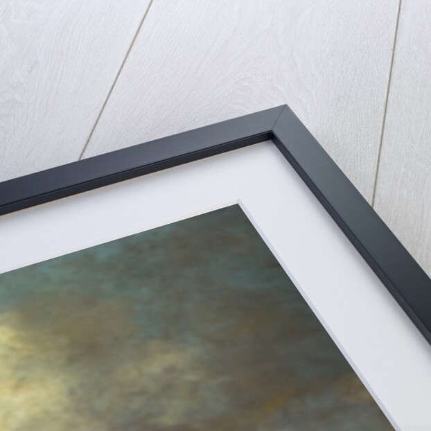 A View of Scheveningen, 1649 by Jan Josephsz van Goyen