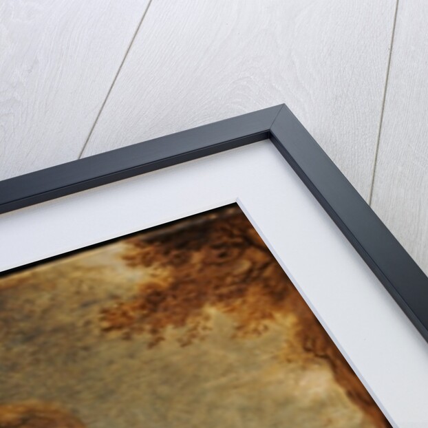 Joseph Mallord William Turner, 1838 by John Linnell