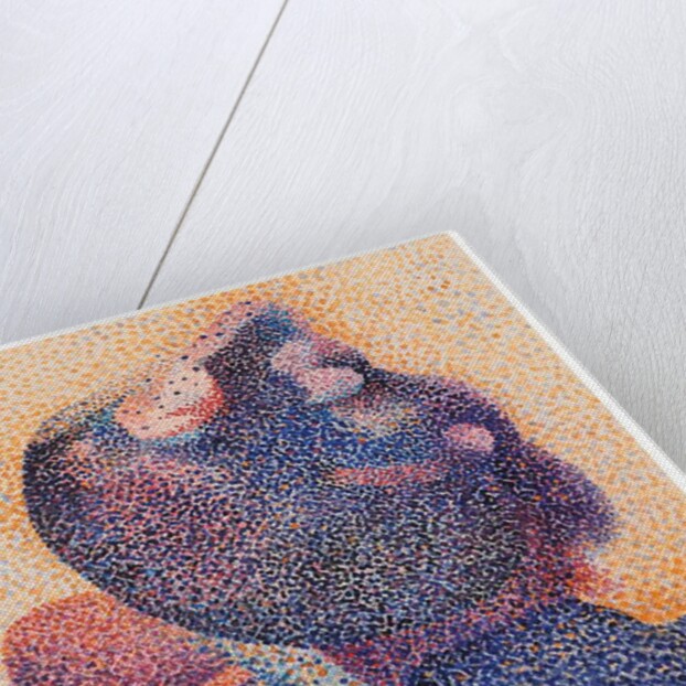 Study for Bullfight Scene, 1893 by Henri-Edmond Cross