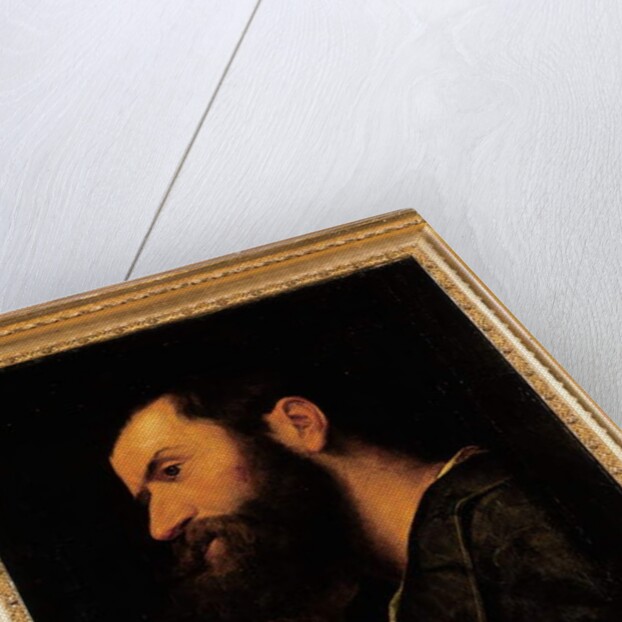 Portrait of the poet Pietro Aretino, bust-length, resting his head on his right hand by a ledge with a plant by Alessandro Bonvicino Moretto