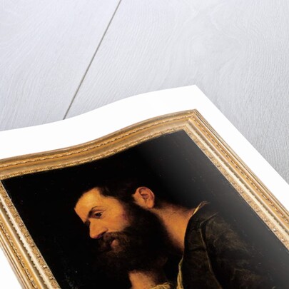 Portrait of the poet Pietro Aretino, bust-length, resting his head on his right hand by a ledge with a plant by Alessandro Bonvicino Moretto