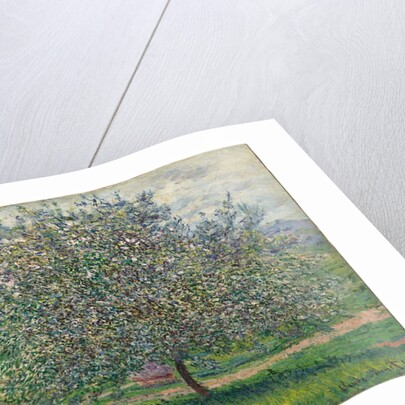 Le Pommier, 1879 by Claude Monet