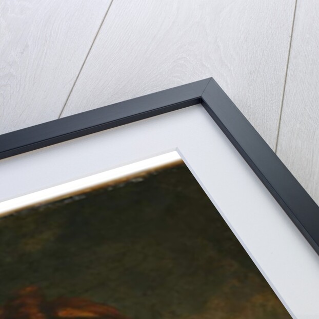 Ariadne by Joshua Reynolds