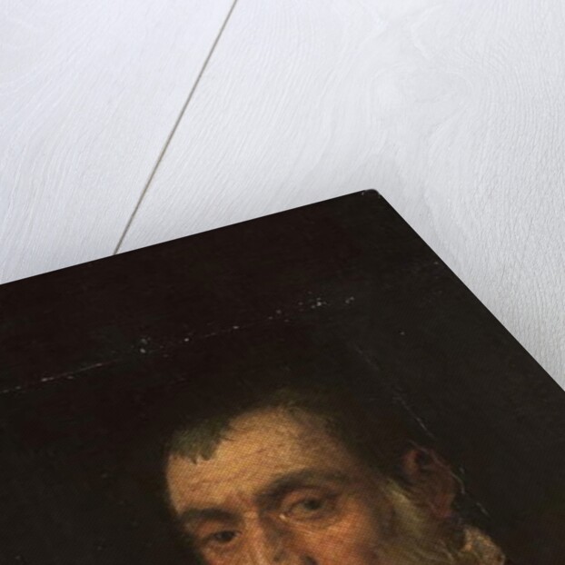 Portrait of a bearded man, bust-length, in a red gown by Jacopo Robusti Tintoretto