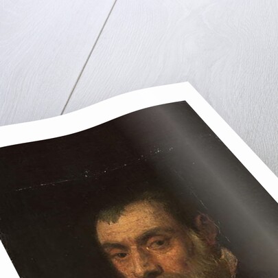 Portrait of a bearded man, bust-length, in a red gown by Jacopo Robusti Tintoretto