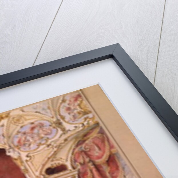 The Auditorium of the St. James's Theatre by John Gregory Crace