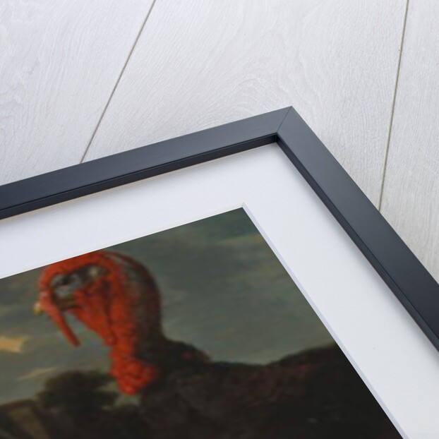 A Hen, Rooster and Turkey in a Farmyard by Melchior de (attr. to) Hondecoeter