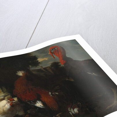 A Hen, Rooster and Turkey in a Farmyard by Melchior de (attr. to) Hondecoeter