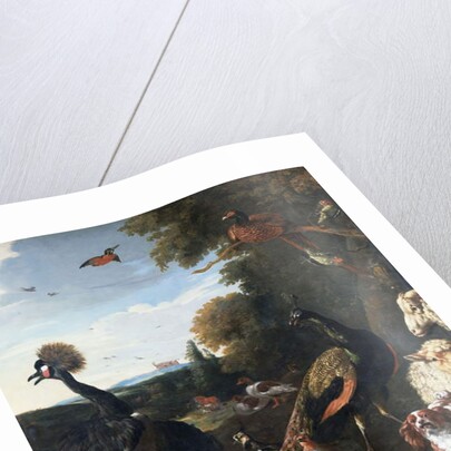 Peacocks and other birds, with a sheep and dog in a landscape by Melchior de Hondecoeter
