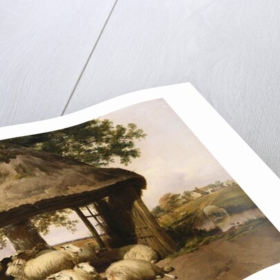 Sheep Resting Under a Shelter by Thomas Sidney Cooper