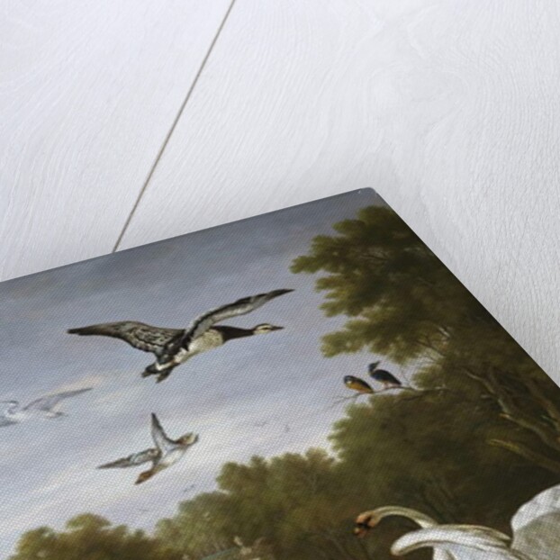 Swans, ducks and other birds in a park by Pieter Casteels