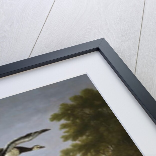 Swans, ducks and other birds in a park by Pieter Casteels