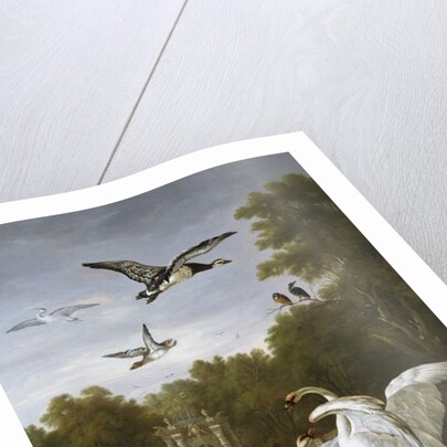 Swans, ducks and other birds in a park by Pieter Casteels