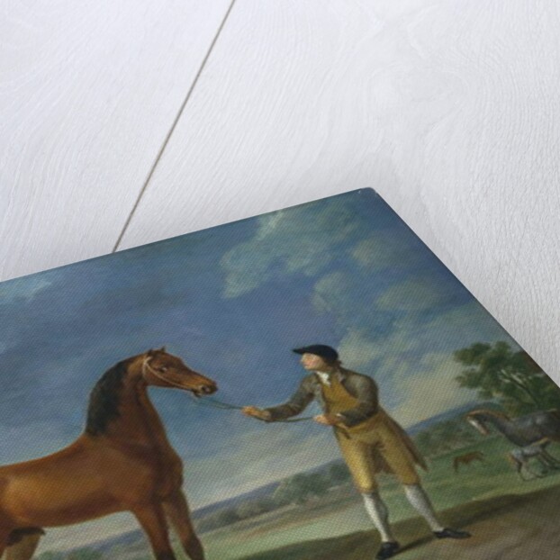 An Arab stallion held by a groom by Sawrey Gilpin