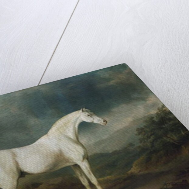 White horse in a wooded landscape, 1791 by Sawrey Gilpin