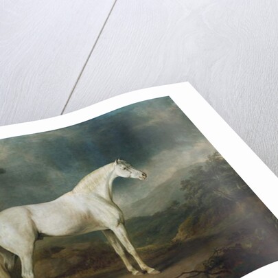 White horse in a wooded landscape, 1791 by Sawrey Gilpin