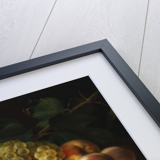 Fruit in a Chinese Basket, 1822 by James the Elder Peale