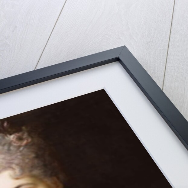 Portrait of a lady by Nicolas de Largilliere