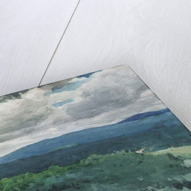 Hilly Landscape, 1894 by Winslow Homer