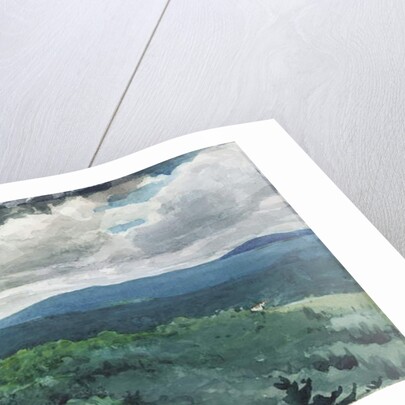 Hilly Landscape, 1894 by Winslow Homer